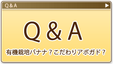 q&aのバナー画像