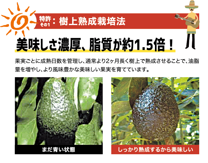 特許のバナー画像"