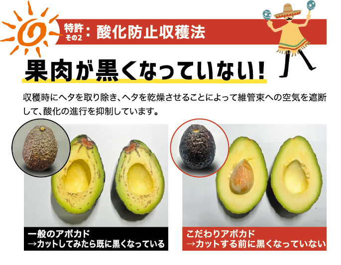 特許のバナー画像"