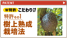 特許のバナー画像
